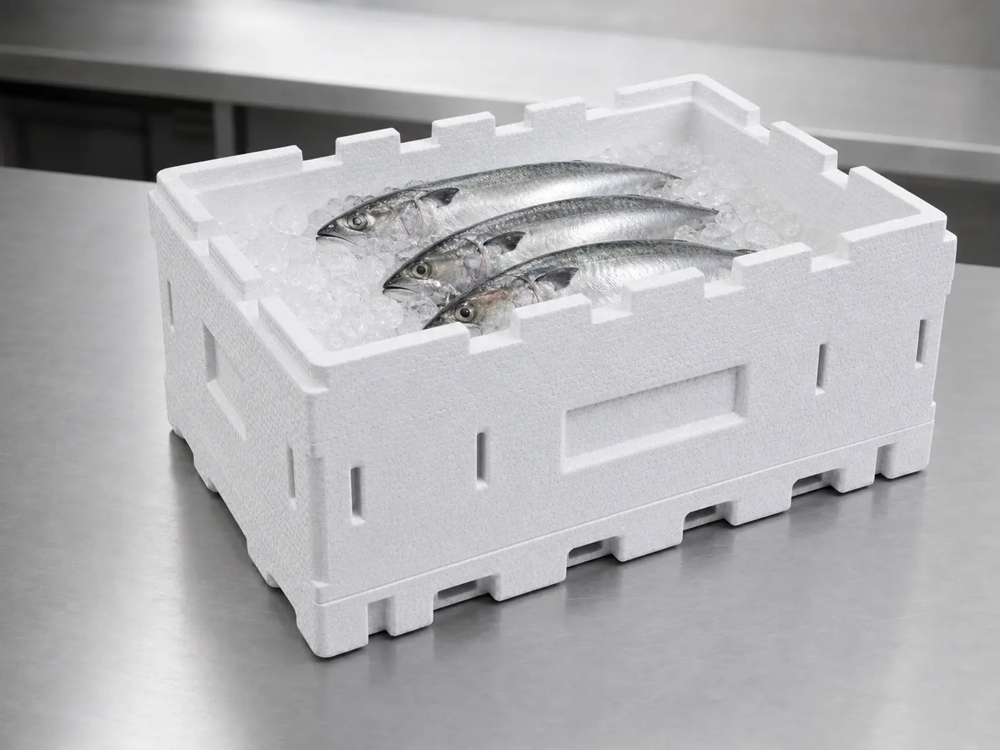 Caja modular de EPS con pescado sobre hielo